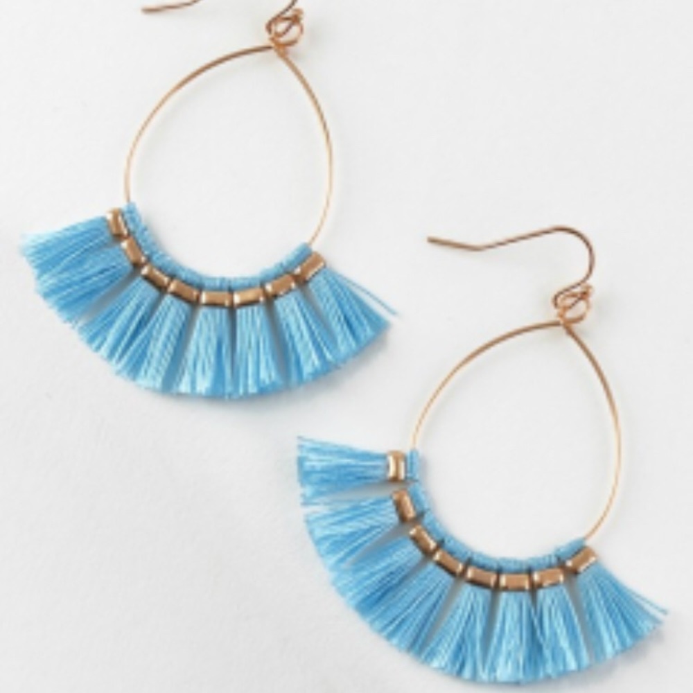 Fringe tassel fish hook earrings